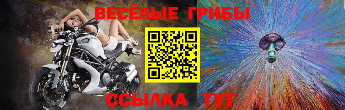 Люберцы  Галлюциногенные грибы прущие грибы  Вход с VPN 